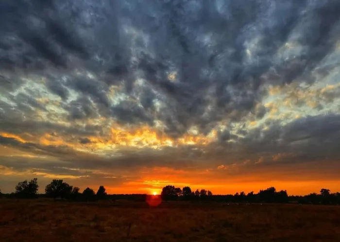 For Arrival * Lutjenwestedt